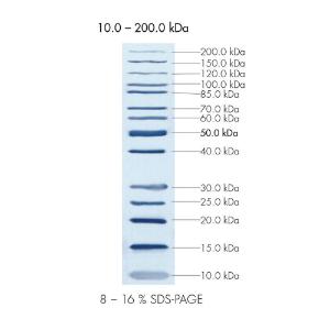 Peqlab peqGOLD, Protein Marker II (Unstained)